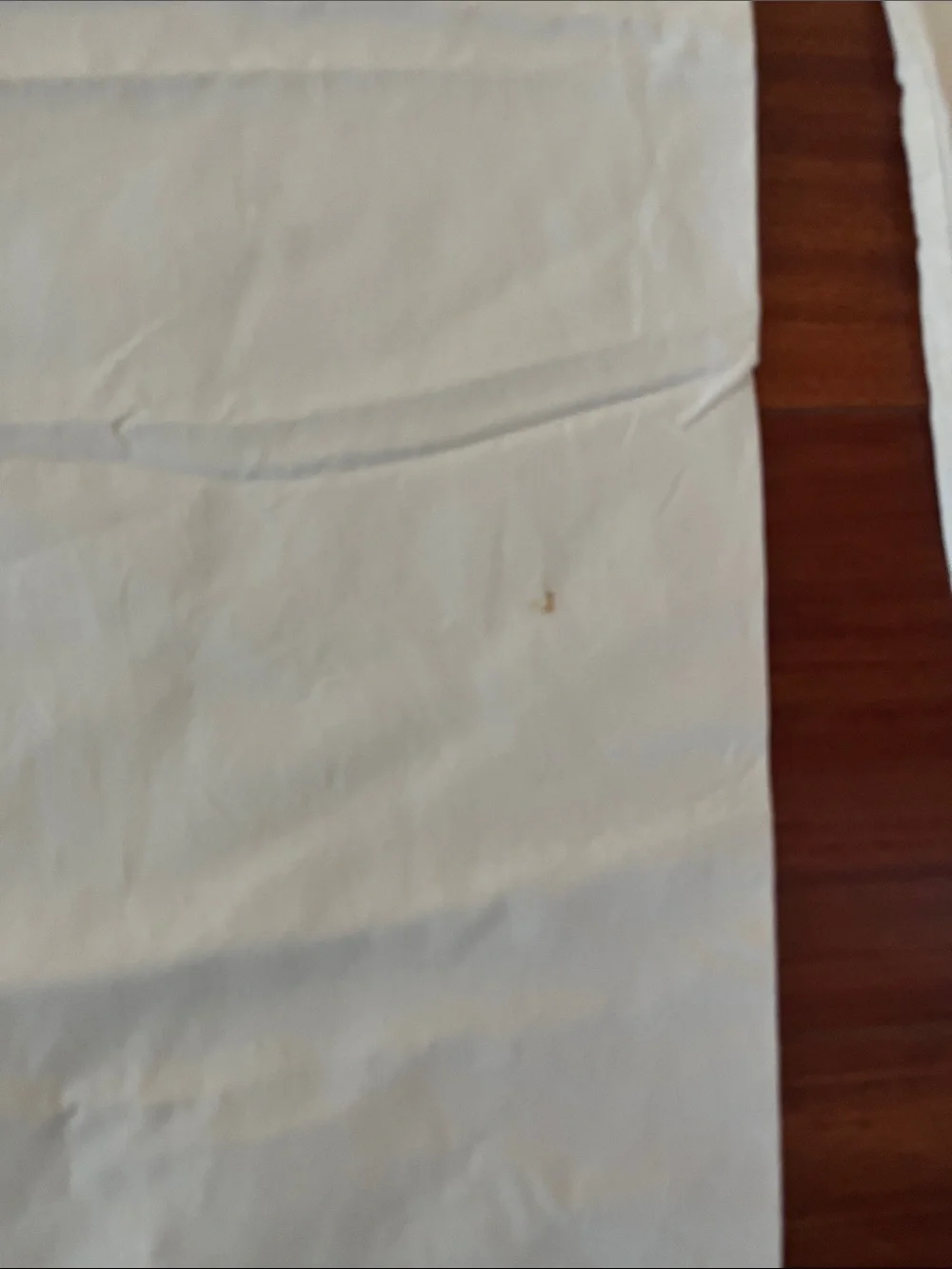 Set of 2 Ralph Lauren Lacey Pillow Shams - Standard Size